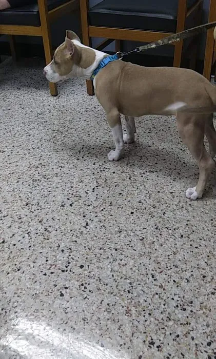Riverside Animal Hospital 12
