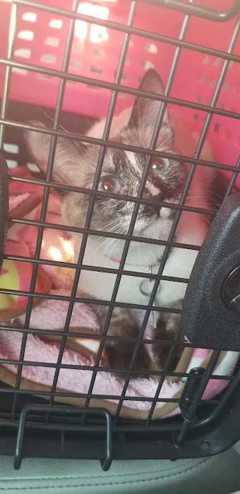 Riverside Animal Hospital 12
