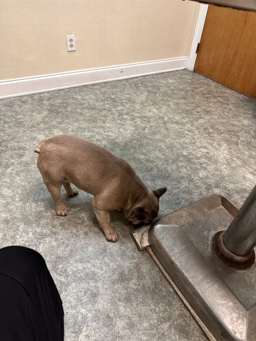 Riverside Animal Hospital 12
