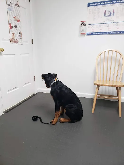 Rim Road Animal Hospital 3