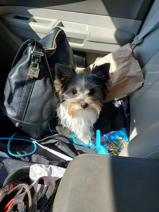 Rim Road Animal Hospital 8