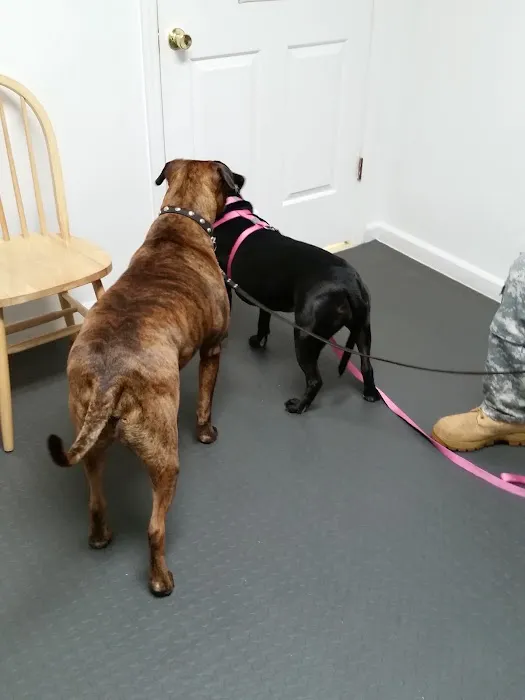 Rim Road Animal Hospital 7