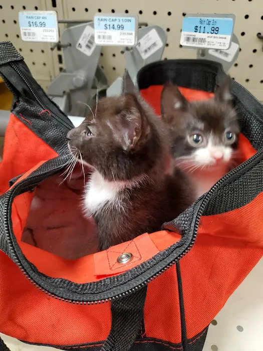 PetVet Vaccination Clinic 12