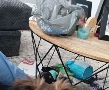 PetVet Vaccination Clinic