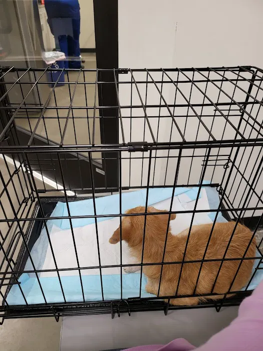 PetVet Vaccination Clinic 12