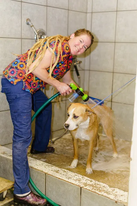 Hope Mills Road Animal Hospital 12