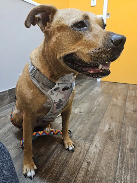Highland Animal Hospital 12