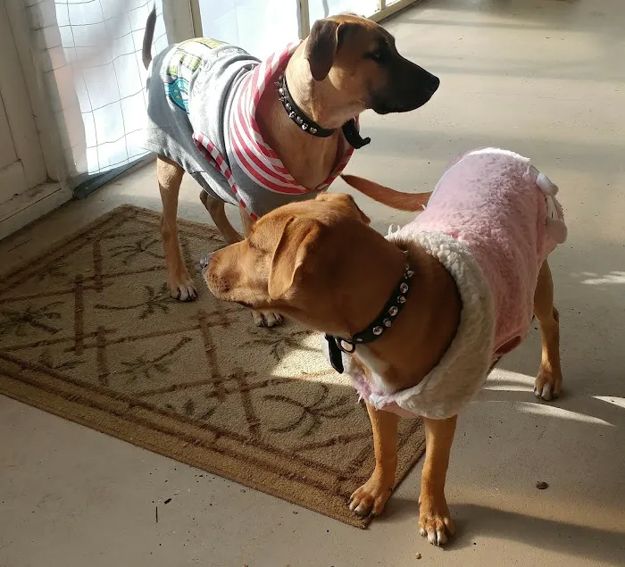 Highland Animal Hospital 12