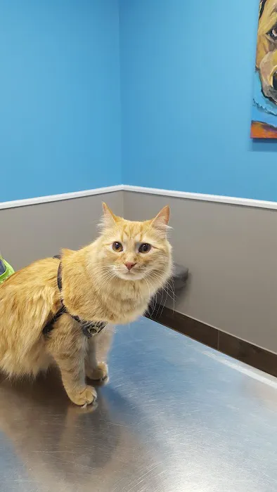 Highland Animal Hospital 12