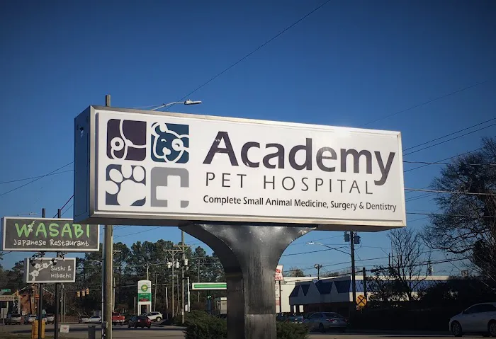 Academy Pet Hospital 12