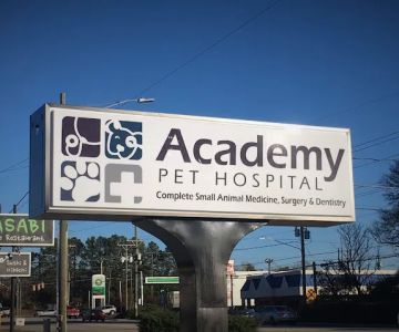 Academy Pet Hospital