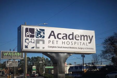 Academy Pet Hospital