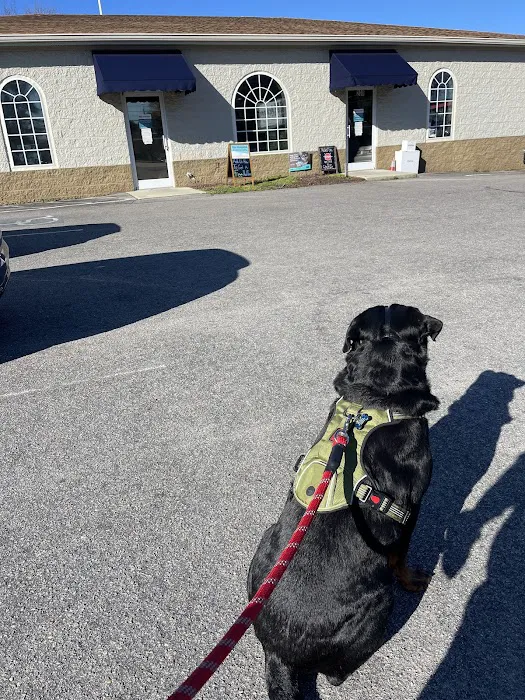 Academy Pet Hospital 12