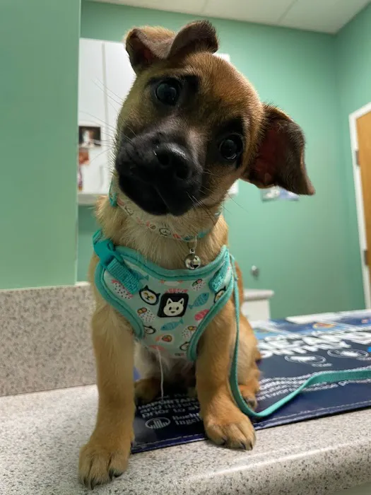 Carolina Crossing Veterinary Clinic 6