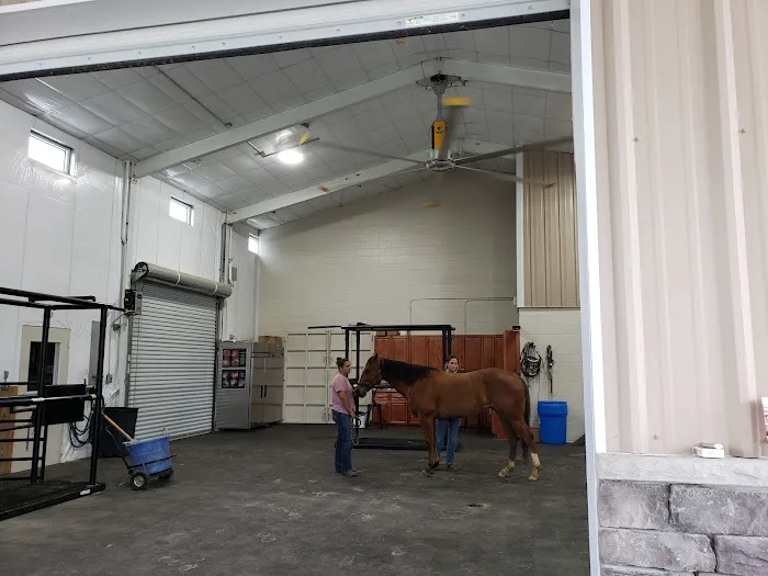 Hannah Creek Veterinary Hospital 7