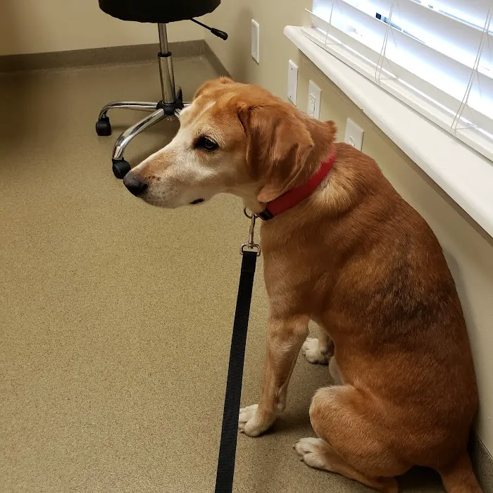 Hannah Creek Veterinary Hospital 8