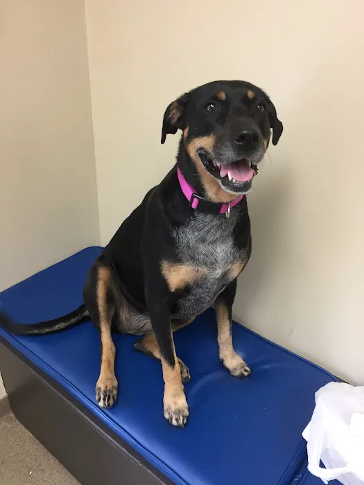 Hannah Creek Veterinary Hospital 10
