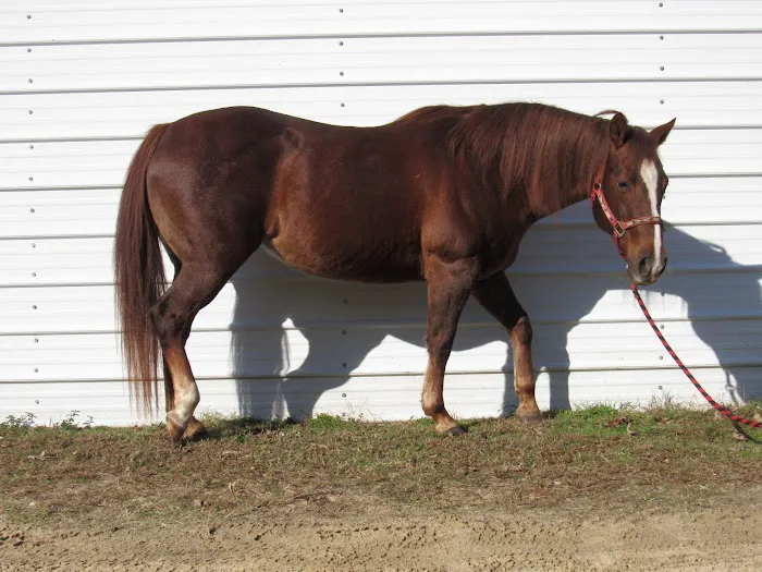 Hannah Creek Veterinary Hospital 5