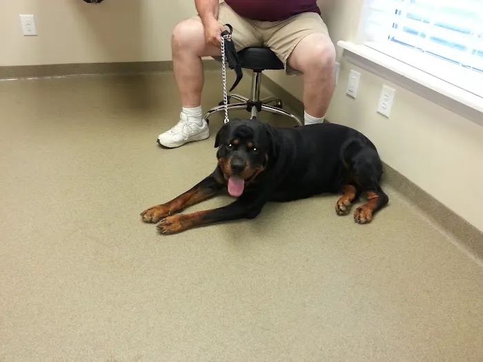 Hannah Creek Veterinary Hospital 4