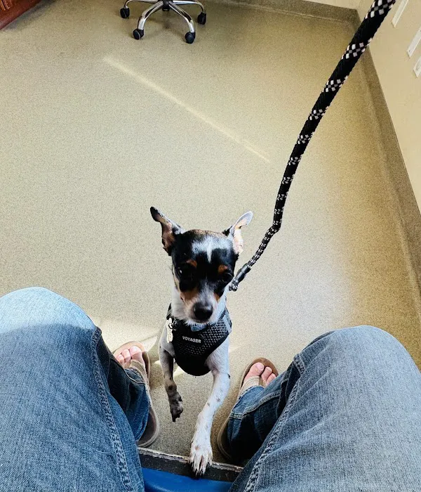Hannah Creek Veterinary Hospital 9