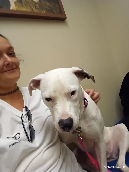 Hannah Creek Veterinary Hospital 1