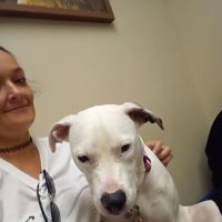 Hannah Creek Veterinary Hospital ico