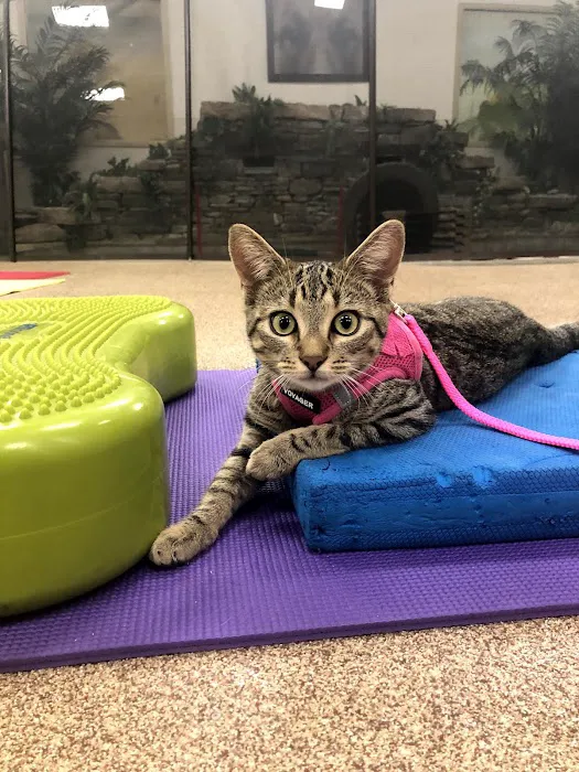 Carolina Ranch Animal Hospital & Resort 9