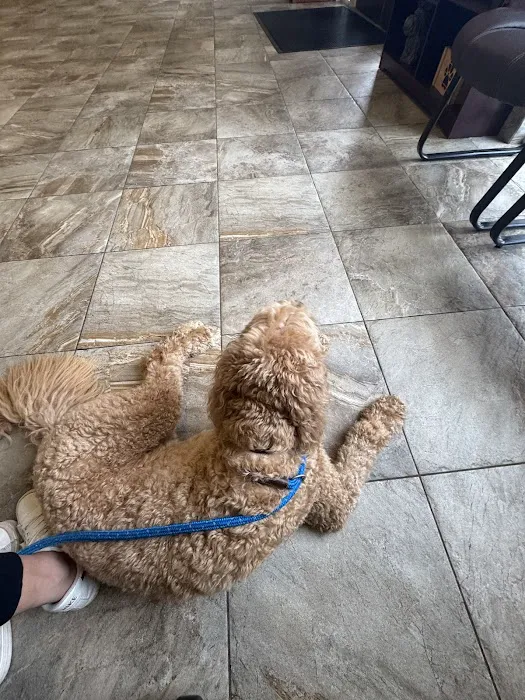 Carolina Ranch Animal Hospital & Resort 3
