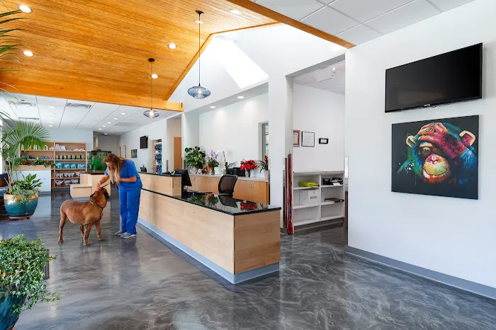 Aardvark Animal Hospital 4