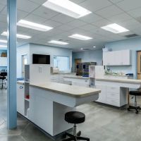 Aardvark Animal Hospital ico