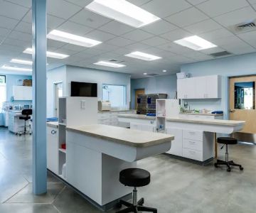 Aardvark Animal Hospital