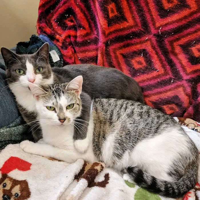 Cleveland Community Veterinary Hospital 10
