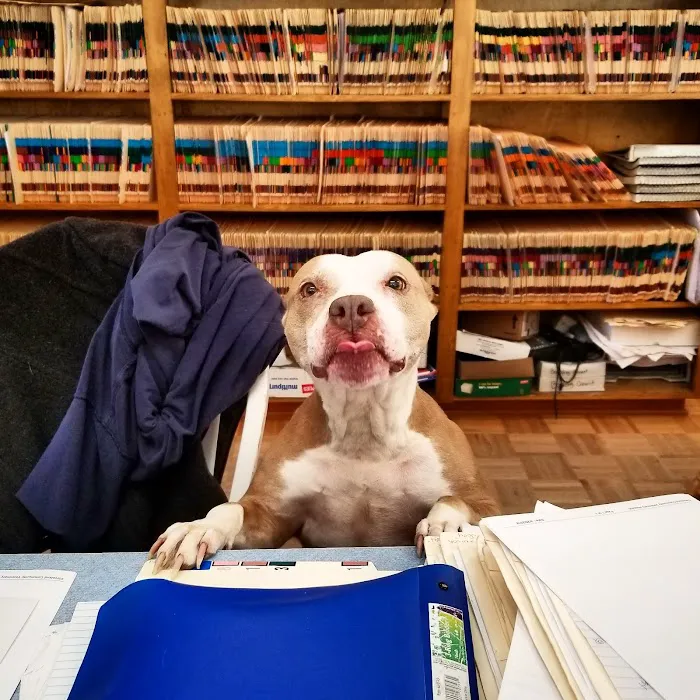 Cleveland Community Veterinary Hospital 6