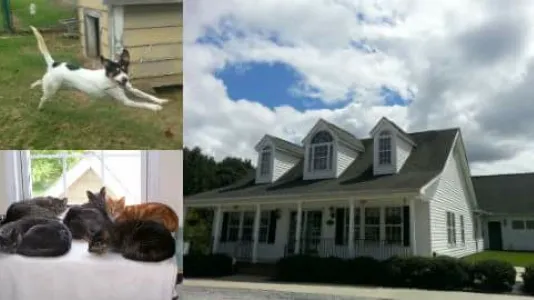 Cleveland Community Veterinary Hospital 4