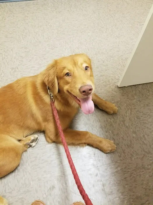 Vetcare for Pets Animal Hospital 1