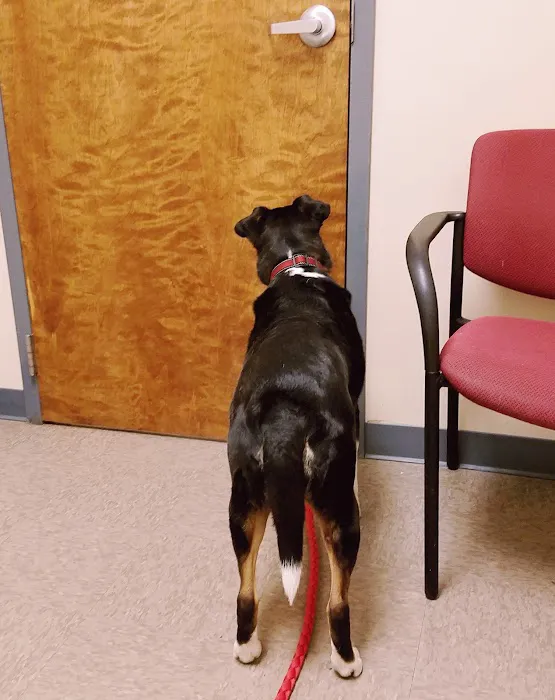 Vetcare for Pets Animal Hospital 7