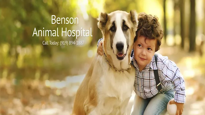 Benson Animal Hospital 10