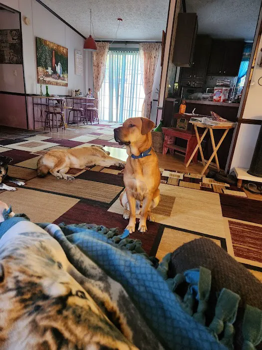 Benson Animal Hospital 7