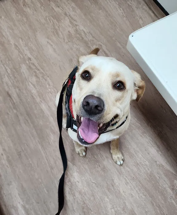 Benson Animal Hospital 3