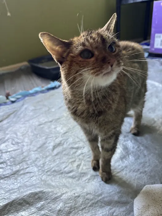 Quality Care Animal Hospital 2