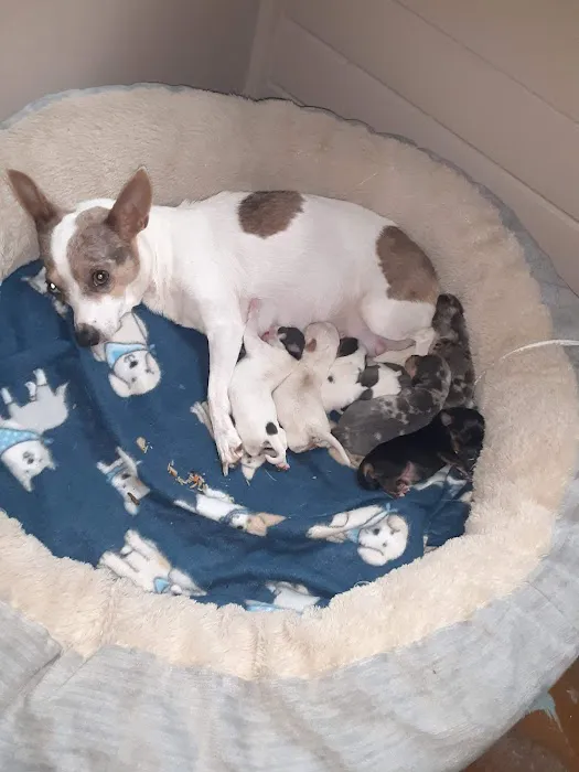 Quality Care Animal Hospital 5