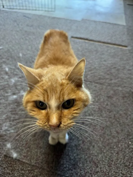 Quality Care Animal Hospital 3