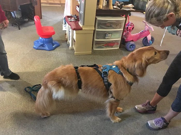 MuttKnee Brace 4