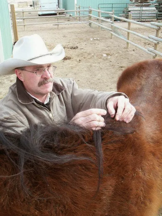 Equine Medical Services 6
