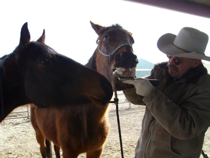 Equine Medical Services 1