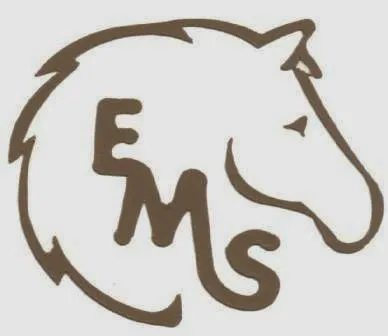 Equine Medical Services 3