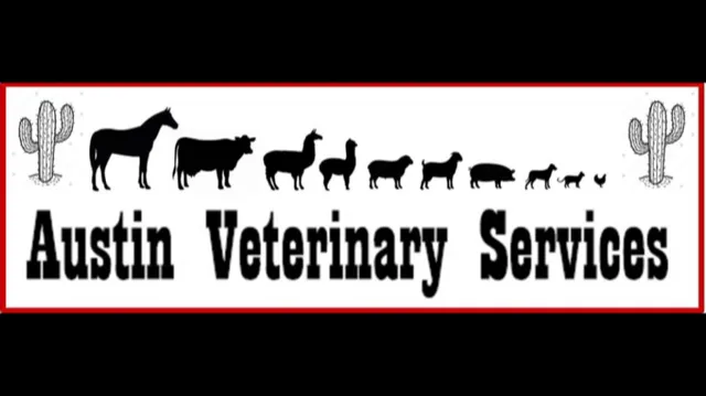 Austin Veterinary Services 3