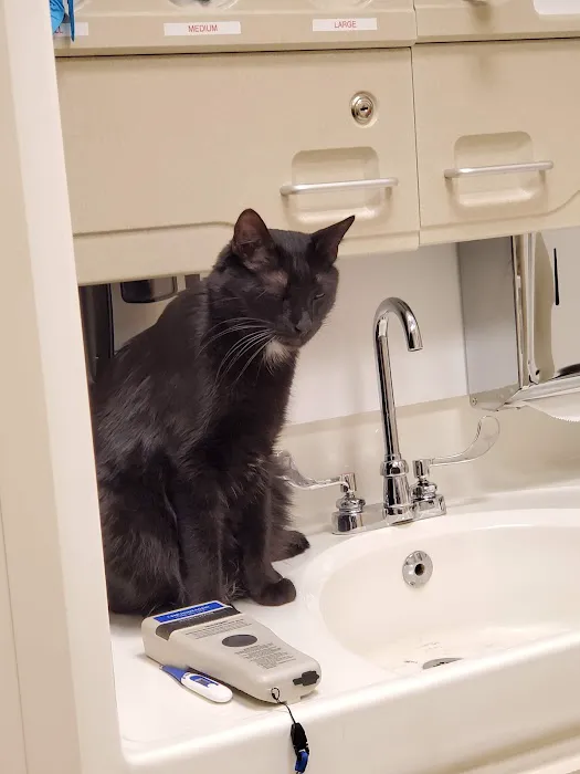 Fort Carson Veterinary Services 12