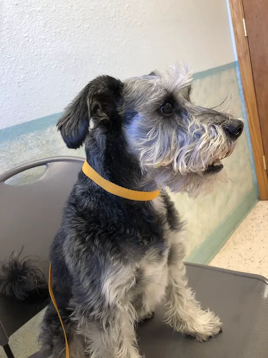 Fountain Creek Veterinary Clinic LLC 12