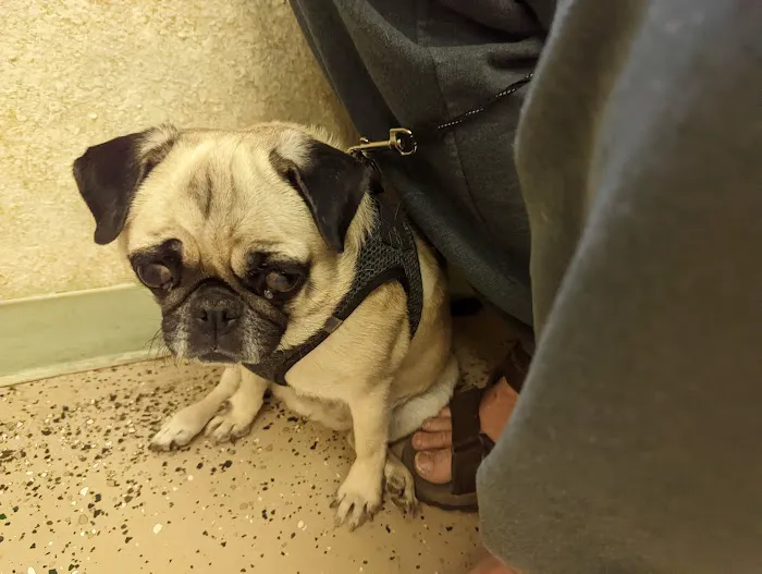 Fountain Creek Veterinary Clinic LLC 12